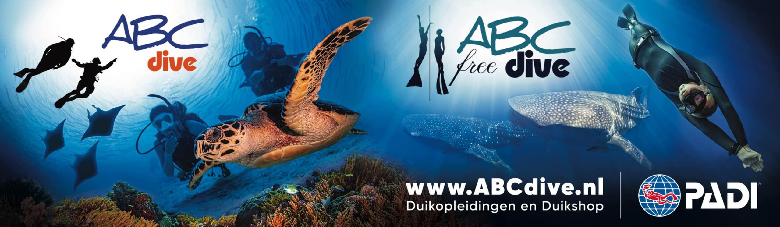 ABC Dive ABC free Dive banner